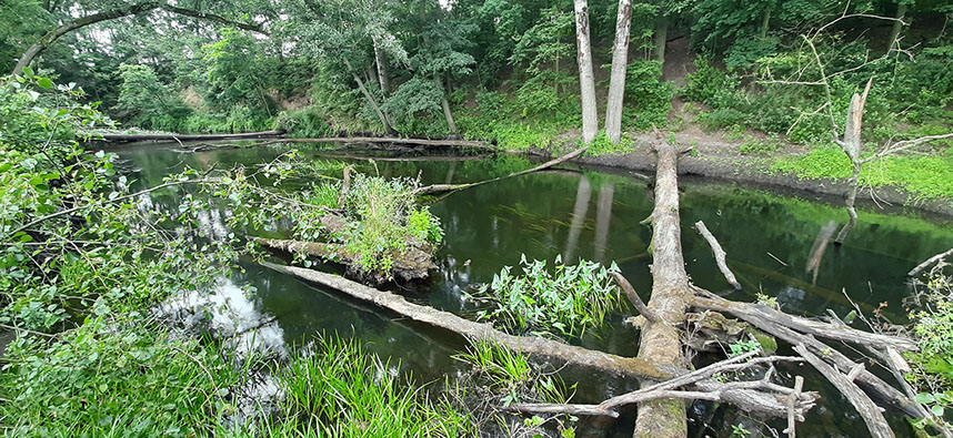Spływ kajakiem rzeką Obrą w Międzyrzeczu