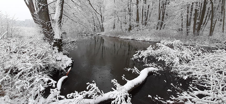 Spływ kajakiem rzeką Obrą w Międzyrzeczu