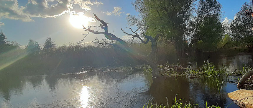 Spływ kajakiem rzeką Obrą w Międzyrzeczu