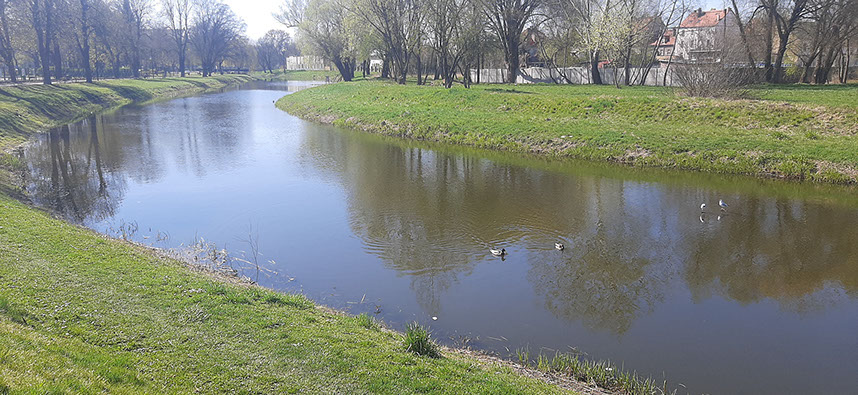 Spływ kajakiem rzeką Obrą w Międzyrzeczu