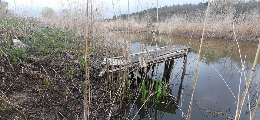 Spływ kajakiem rzeką Obrą w Międzyrzeczu