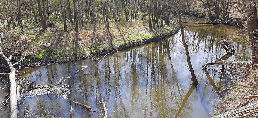 Spływ kajakiem rzeką Obrą w Międzyrzeczu