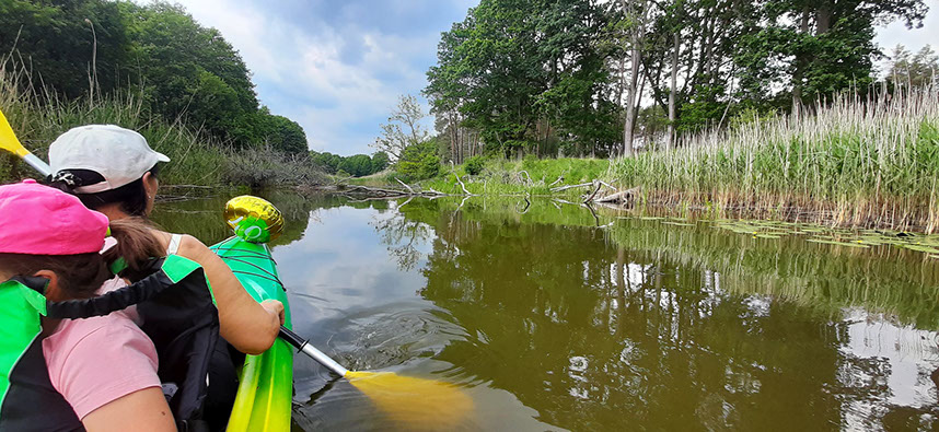 Spływ kajakiem rzeką Obrą w Międzyrzeczu